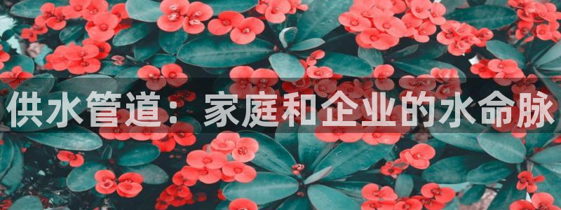 球友会为什么能上百度官方
