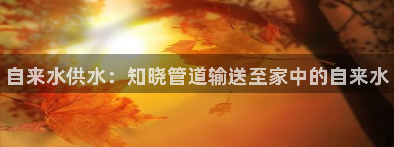 球友会logo