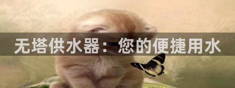 球友会台球俱乐部官网