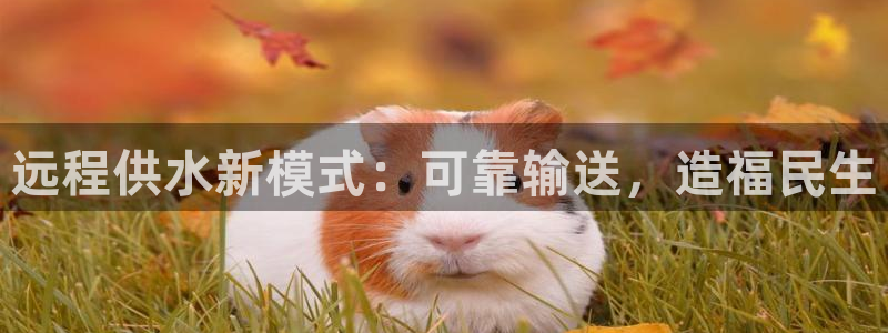 球友会入口