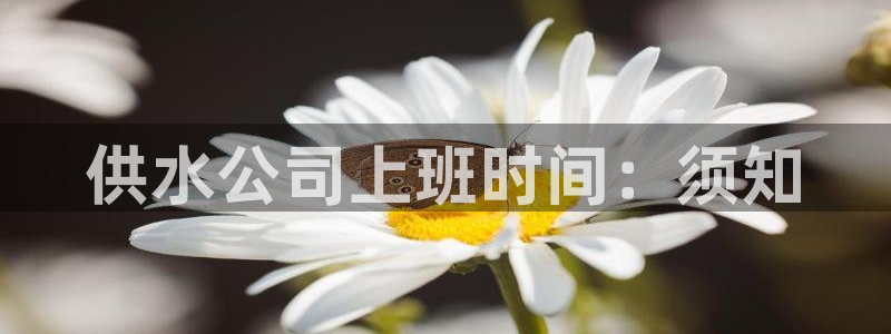 球友会友谊赛赛程