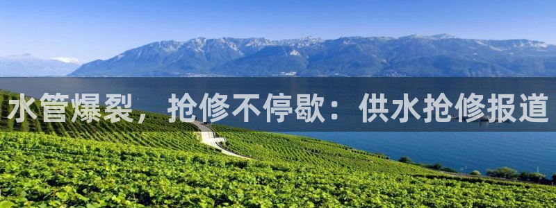 球友会是不是大平台