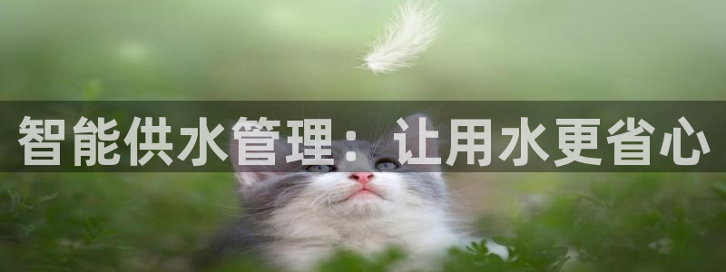 球友会台球俱乐部