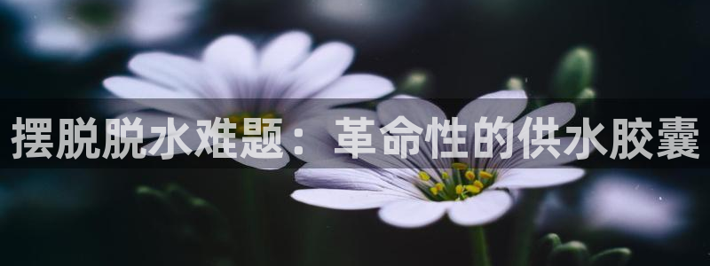 球友会FIFA22比赛是否能随机超控