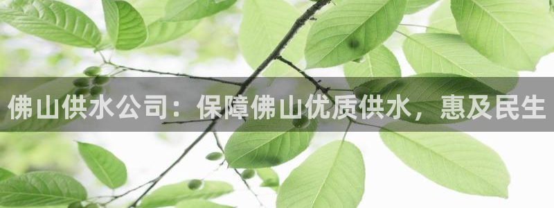 球友会体育app下载安卓最新版