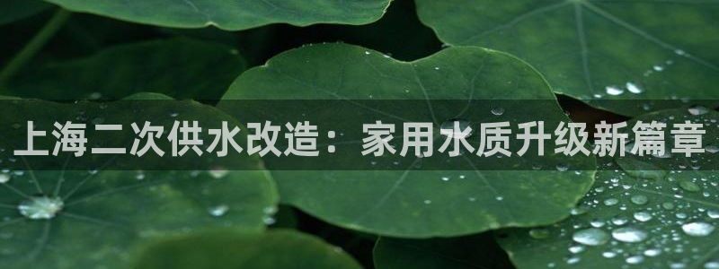 球友会登录不上的原因