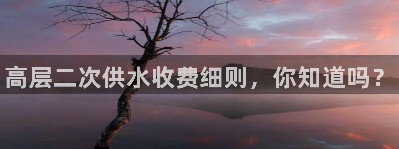 球友会友谊赛赛程