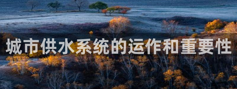 球友会官网登录入口手机版