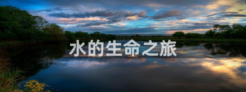球友会软件