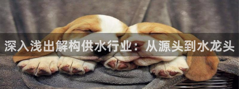 球友会官方网站入口