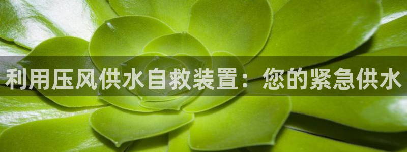 球友会登录