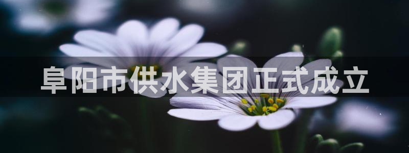 球友会app官网下载安卓
