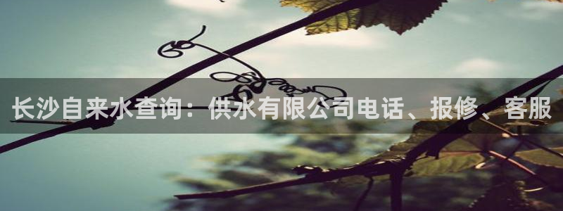 球友会骂客服封号
