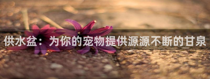 球友会app官网下载