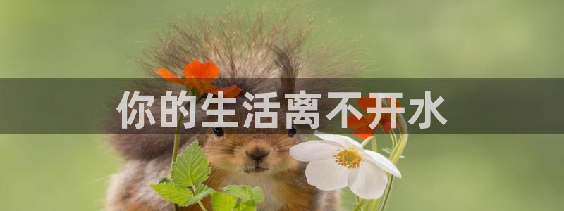 球友会网站多少