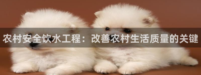 qy球友会体育(中国)官方网站