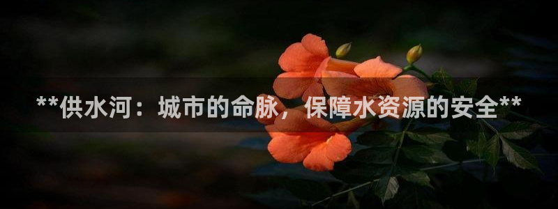 球友会英文怎么说呢翻译