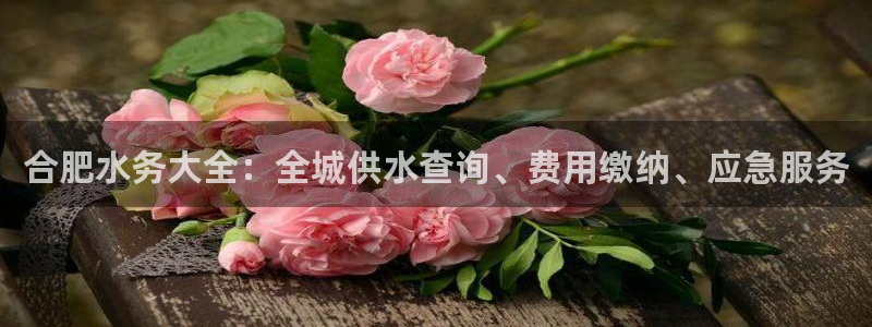 球友会官方网站入口