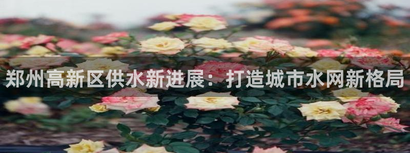 球友会开户礼金在哪领