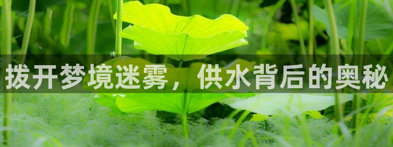 球友会体育app下载安卓