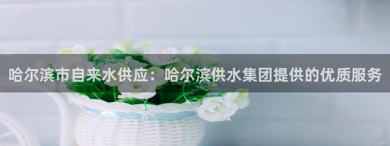 球友会提款审核中