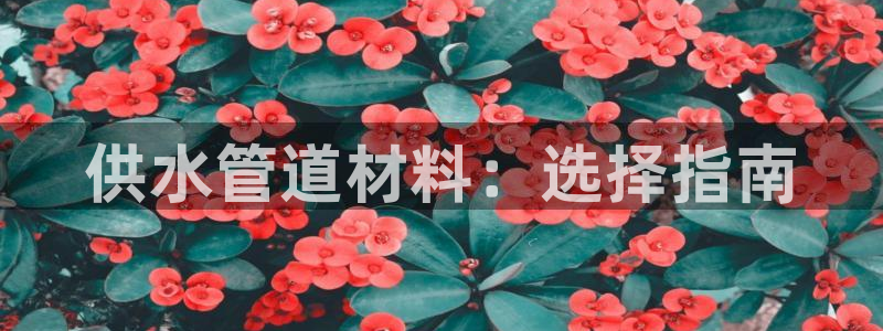球友会app官网