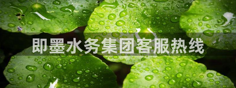 球友会qyh88bet