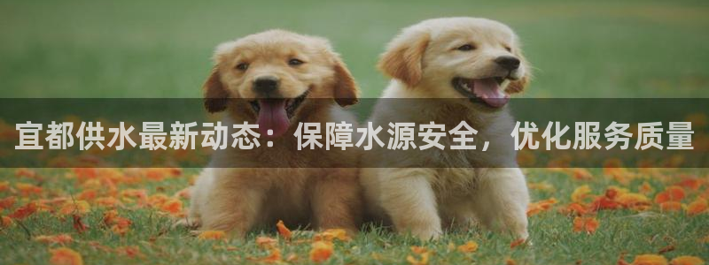 球友会app官网下载苹果