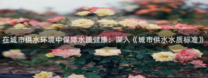球友会体育app下载官网苹果