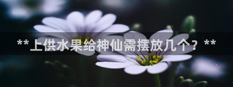 球友会英文怎么说呢翻译