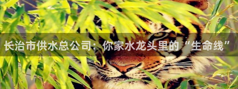 球友会体育app官方版下载安装手机