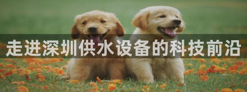 qy球友会体育