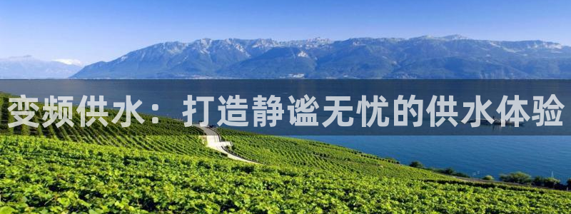 球友会提款审核