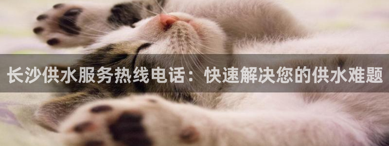 球友会app官网下载安装