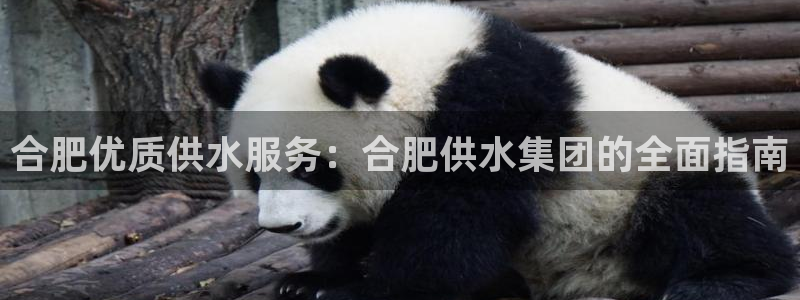 球友会app下载QY