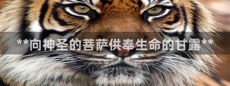 qy球友会体育