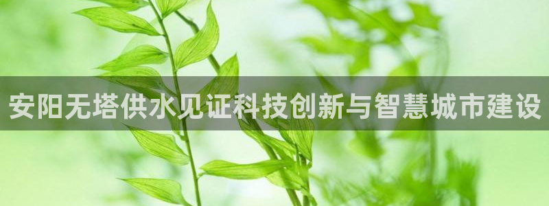 球友会友谊赛赛程