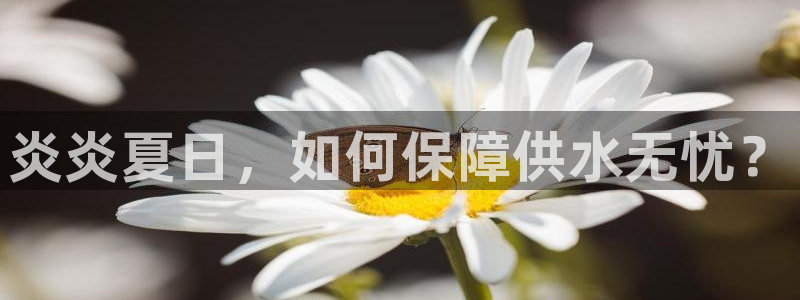 球友会提现游戏平台抽查