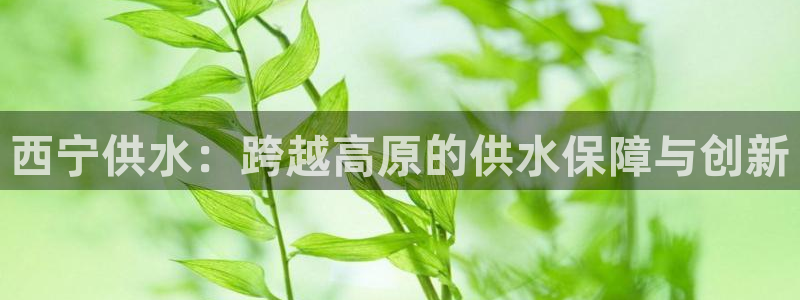 球友会台球俱乐部在哪