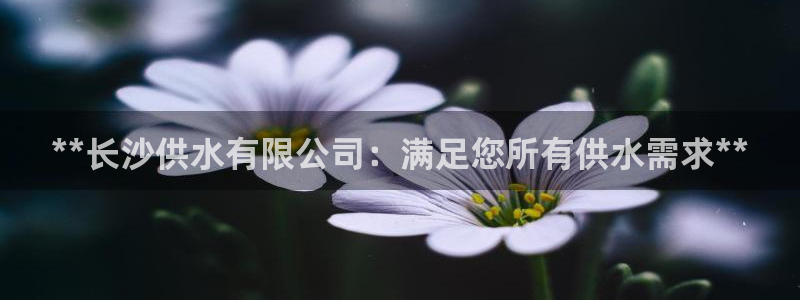 球友会赛程