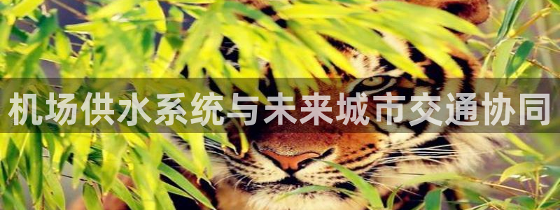 球友会是什么