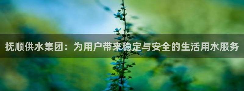 qy球友会体育官下载