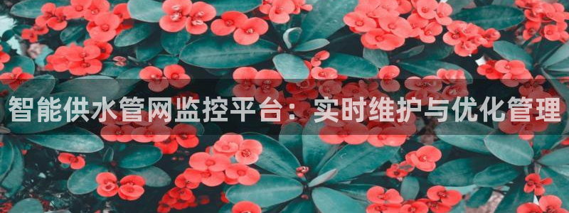 qy球友会体育(中国)官方网站