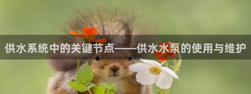QY球友会体育官网