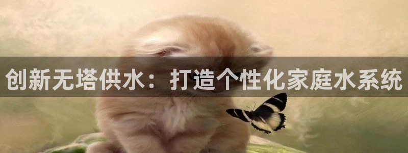 球友会联赛
