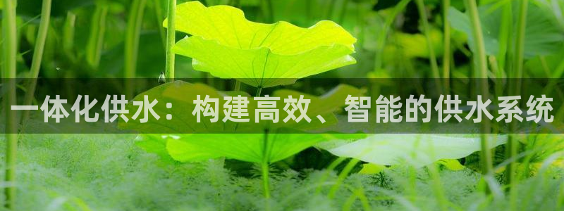 球友会app安全吗可靠吗