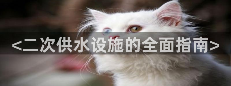 球友会qy怎么进不去