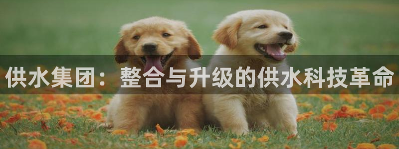 球友会能提现吗