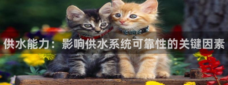 球友会登录地址