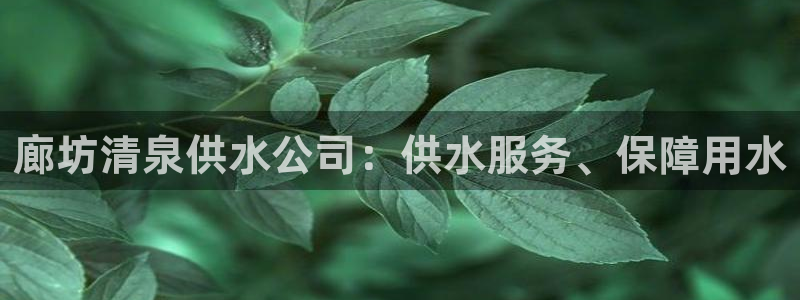 球友会友谊赛7月28日曼联阿森纳